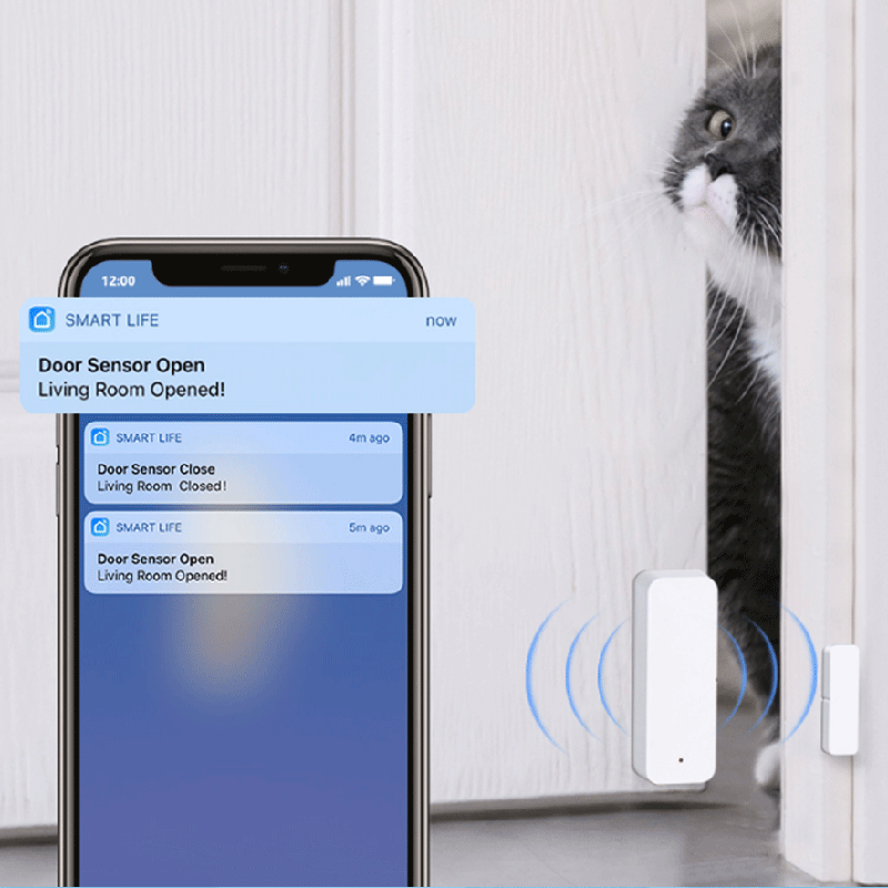 مستشعر الاتصال بالباب والنافذة - مراجعة Wifi Thermostat وسعره